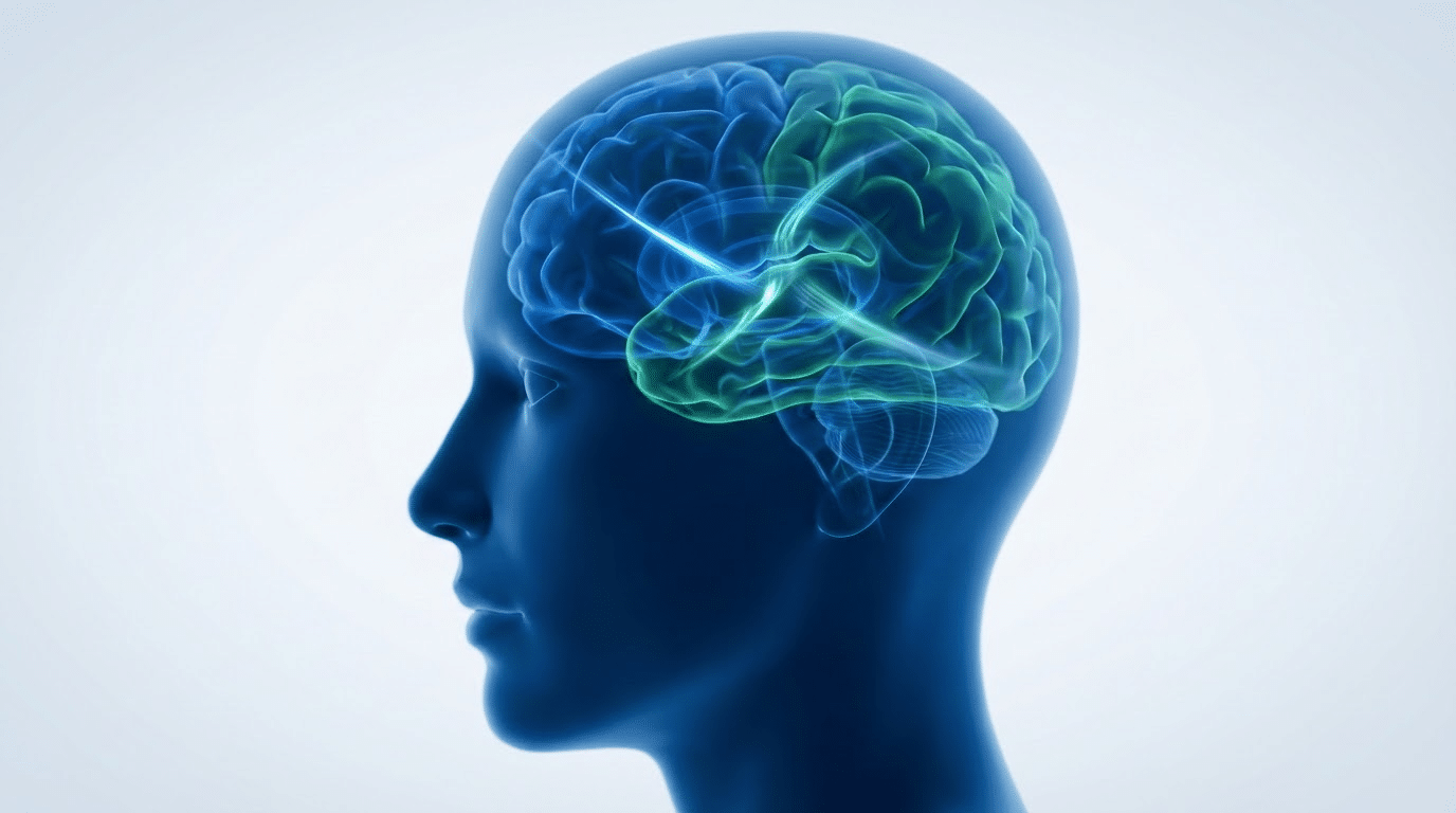 איך נוצרת פוביה והקשר לתת-מודע – תרשים הסבר מקצועי